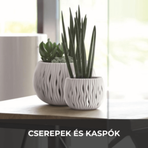 Cserepek és kaspók
