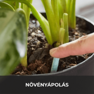 Növényápolás