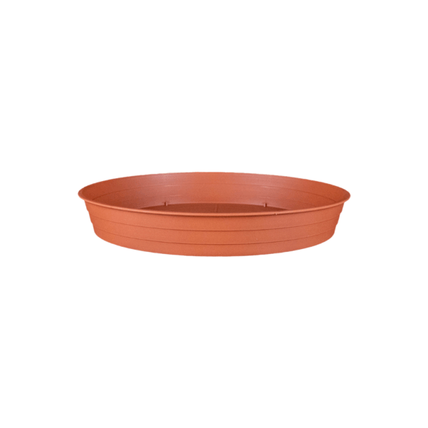 Pálma virágcserép alátét terrakotta színben, műanyagból, több méretben (8–50 cm)