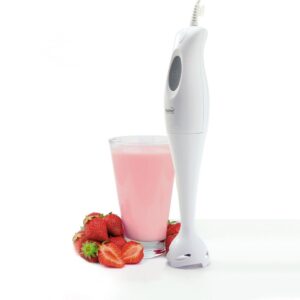 Botmixer 250 W teljesítménnyel – HOME HG BM 12
