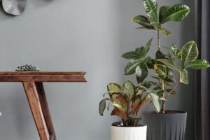 Lamela kaspók beltéri növényekkel, elegáns modern lakásdekorációban
